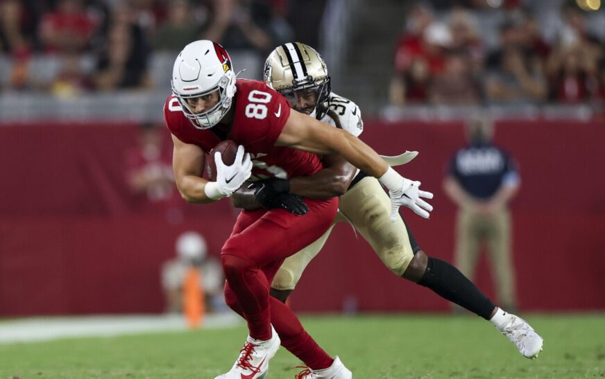 Cardinals cut TE Bernhard Seikovits, OL Matthew Jones
